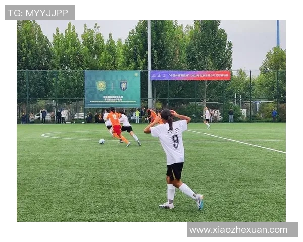 足球锦标赛的精彩瞬间与历史回顾探讨各国球队的竞争与合作精神